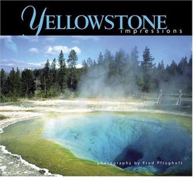 Paperback Yellowstone Impressions Book