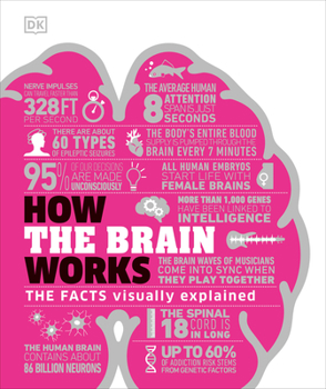 How the Brain Works: The Facts Visually Explained - Book  of the Facts Visually Explained