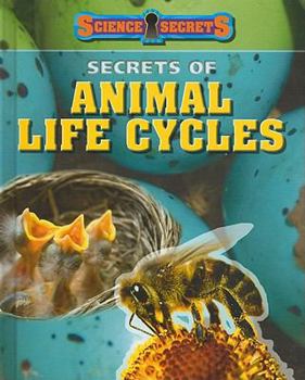 Library Binding Secrets of Animal Life Cycles Book
