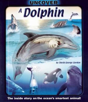 Hardcover Uncover a Dolphin: The Inside Story on the Ocean's Smartest Animal! [With Toy Dolphin] Book
