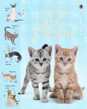 Hardcover The Usborne Little Book of Cats and Kittens Book