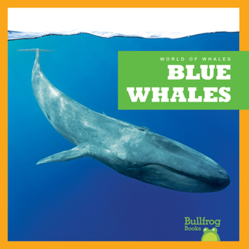 Paperback Blue Whales Book