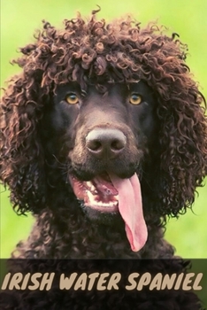 Paperback Irish Water Spaniel: Complete breed guide Book