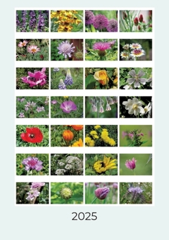 Paperback Blütenvielfalt: Wochenkalender 2025 [German] Book