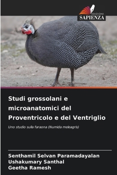 Paperback Studi grossolani e microanatomici del Proventricolo e del Ventriglio [Italian] Book