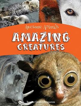 Paperback Awesome Animals: Amazing Creatures Book