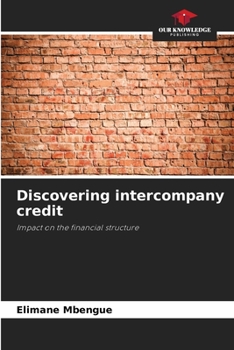 Paperback Discovering intercompany credit Book