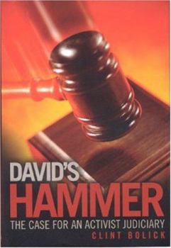 Hardcover David's Hammer: The Case for an Activist Judiciary Book