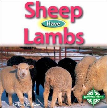 Hardcover Sheep Have Lambs Book