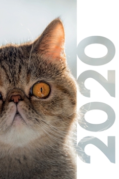 2020: Stocking stuffers for cat lovers Practical Planner Calendar Organizer Daily Weekly Monthly Student Diary for research on how to become a feline behaviorist