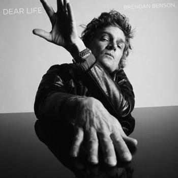 Vinyl Dear Life Book