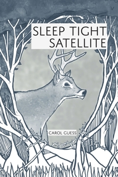 Paperback Sleep Tight Satellite: Stories Book