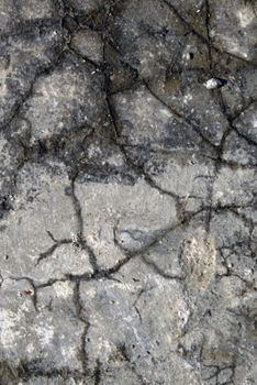 Happy Birthday Book: Happy Birthday Gifts Lined Journal Notebook  (72)  | Journal For Women, Friend Coworker  Birthday Gifts | Funny Gag Gift | Funny ... | 21 Birthday Gag Gifts For Best Friend)