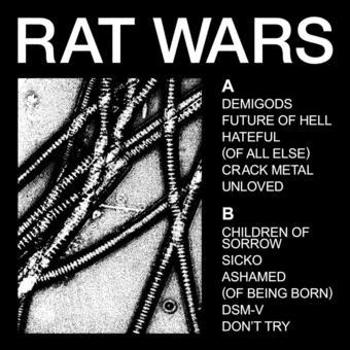 Vinyl Rat Wars Book