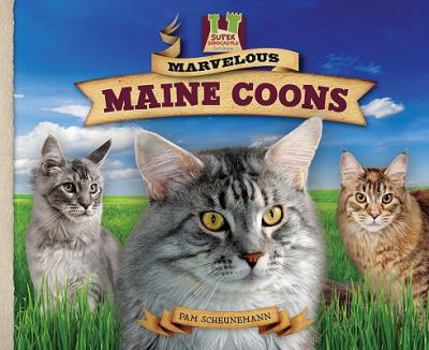 Library Binding Marvelous Maine Coons Book
