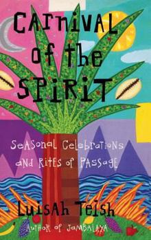 Hardcover Carnival of the Spirit Book