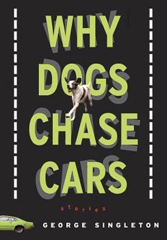 Paperback Why Dogs Chase Cars: Tales of a Beleaguered Boyhood Book