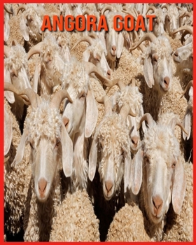 Paperback Angora Goat: Amazing Facts about Angora Goat Book