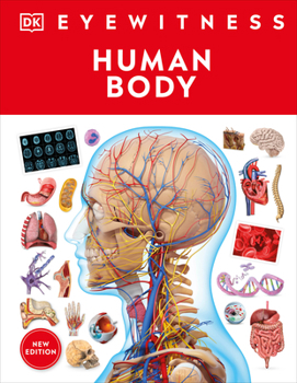 Human Body - Book  of the DK Eyewitness Workbooks