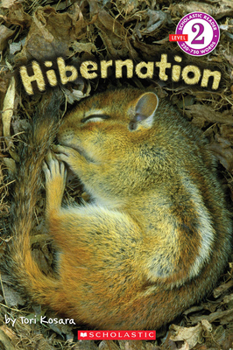 Paperback Hibernation (Scholastic Reader, Level 2) Book
