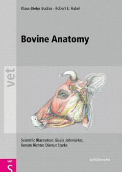 Hardcover Bovine Anatomy: An Illustrated Text Book