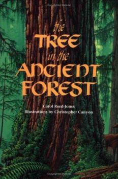 Hardcover The Tree in the Ancient Forest Book