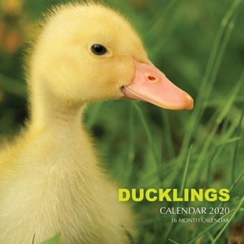 Paperback Ducklings Calendar 2020: 16 Month Calendar Book