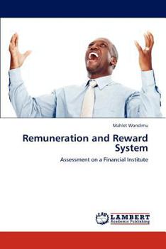 Paperback Remuneration and Reward System Book