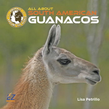 All About South American Guanacos