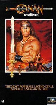 Hardcover Conan the Destroyer Book