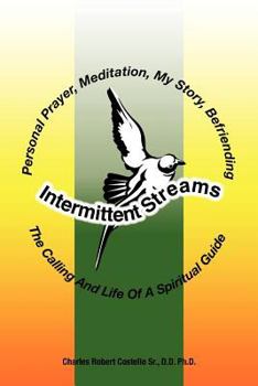Paperback Intermittent Streams Book
