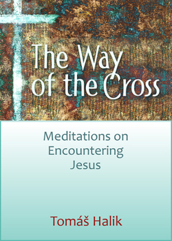 Paperback Way of the Cross: Meditations on Encountering Jesus Book