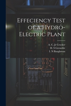 Paperback Effeciency Test of a Hydro-electric Plant Book