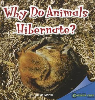 Paperback Why Do Animals Hibernate? Book