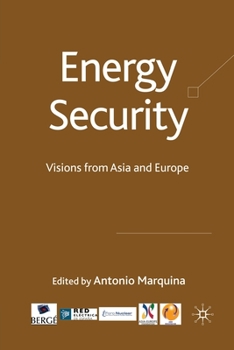 Paperback Energy Security: Visions from Asia and Europe Book