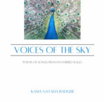 Hardcover Voices of the Sky Book