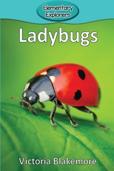 Paperback Ladybugs Book
