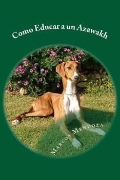 Como Educar a Un Azawakh