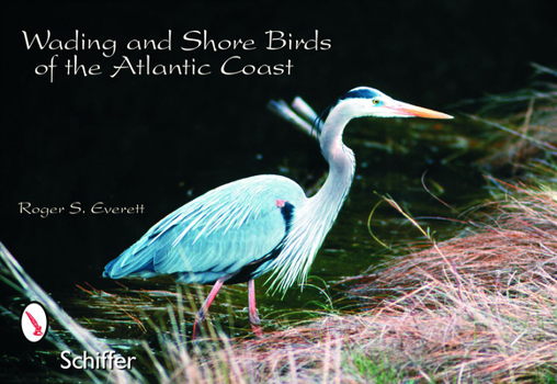 Paperback Wading & Shore Birds of the Atlantic Coast Book