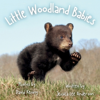 Little Woodland Babies