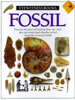 Hardcover Fossil Book