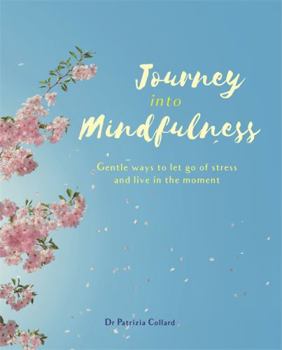 Paperback Journey into Mindfulness: Gentle ways to let go of stress and live in the moment Book