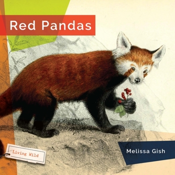 Hardcover Red Pandas Book