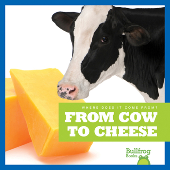 Paperback From Cow to Cheese Book