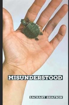 Paperback Misunderstood Book