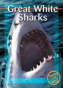 Hardcover Great White Sharks Book