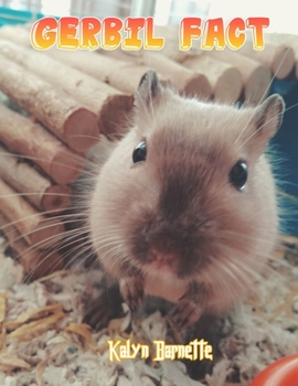 Gerbil Fact: GERBIL fact for girl age 1-10 GERBIL fact for boy age 1-10 facts about all about GERBIL