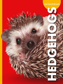 Paperback Curious about Hedgehogs Book