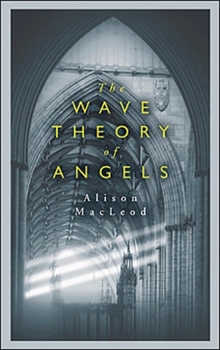 Paperback Wave Theory of Angels Book
