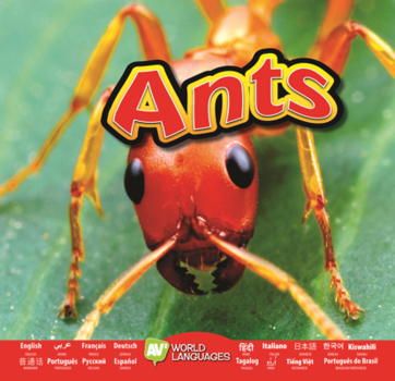 Library Binding Ants Book
